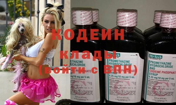 дмт Корсаков
