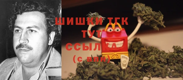 скорость Новозыбков